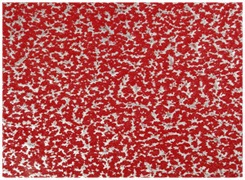 Красное серебро- эксклюзивный цвет порошкового напыления, окрасим любые жалюзийные двери всех размеров